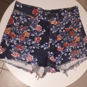 Citizens of Humanity Shorts